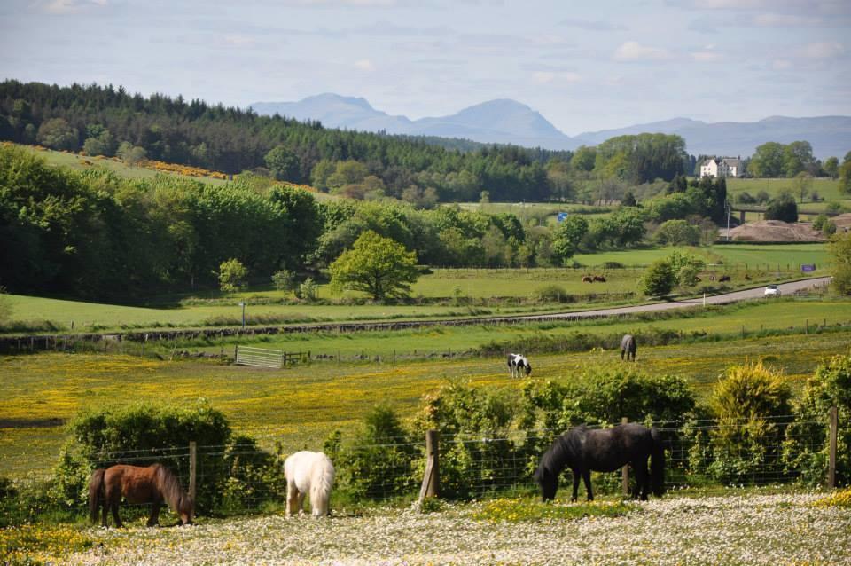 Wellsfield Farm Holiday Lodges Stirling Bagian luar foto